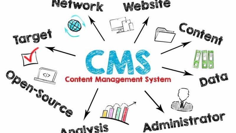 cms website management wordpress