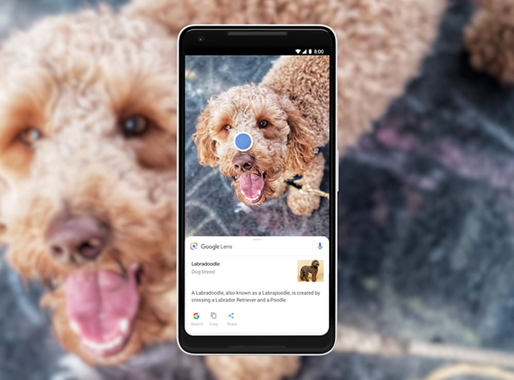 Google Lens