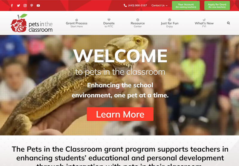 Pets in the Classroom