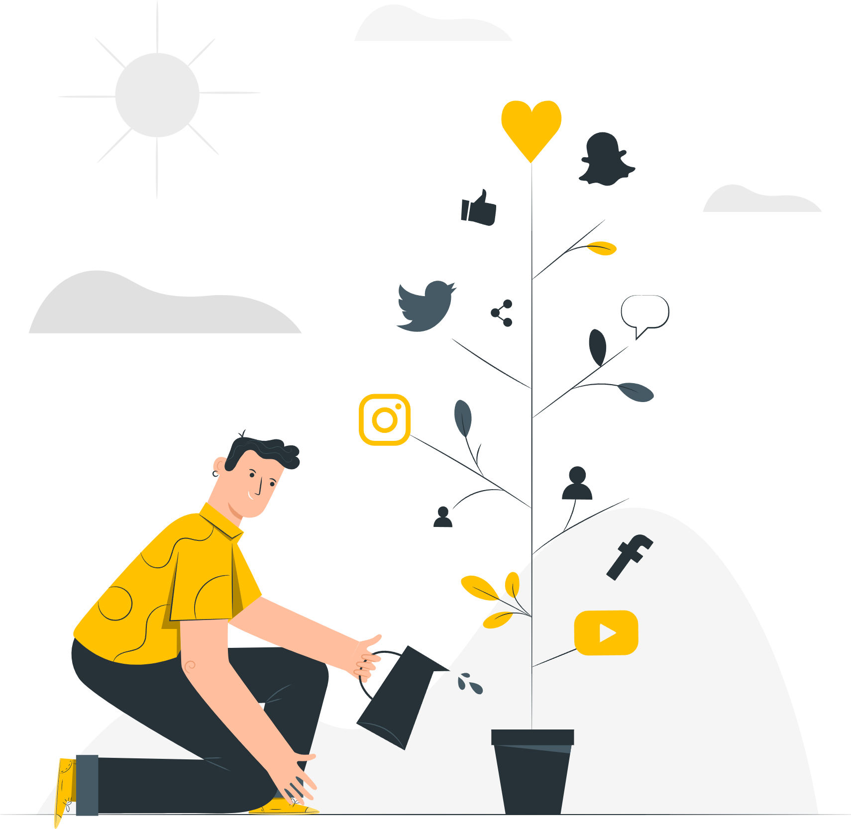 Social Media Growth